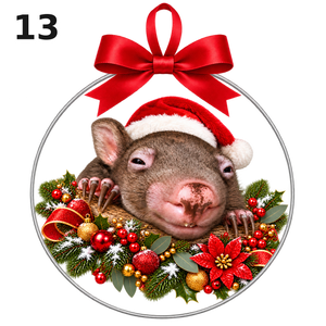 Design 13