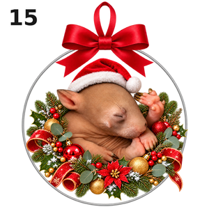 Design 15