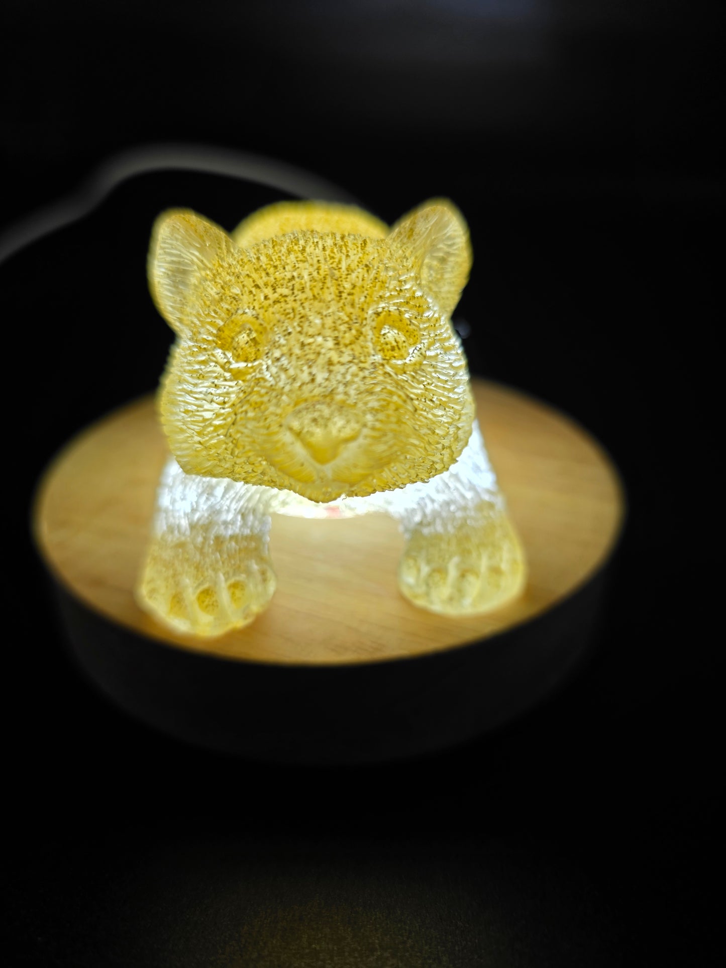 🐾 Resin Wombats – Single or Night-Light Combo 🐾