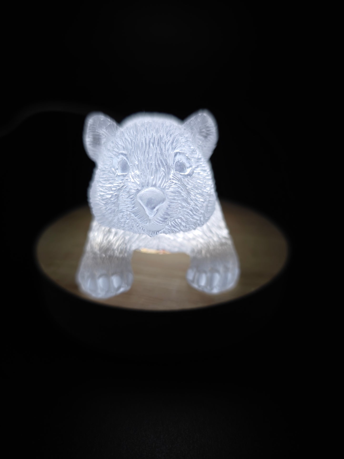 🐾 Resin Wombats – Single or Night-Light Combo 🐾