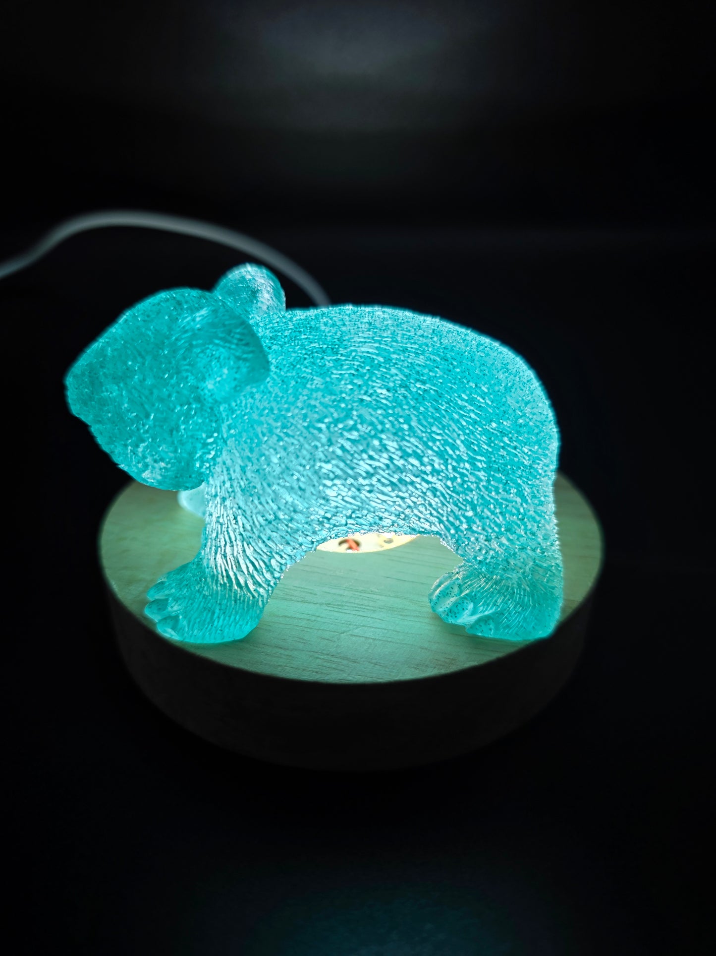🐾 Resin Wombats – Single or Night-Light Combo 🐾