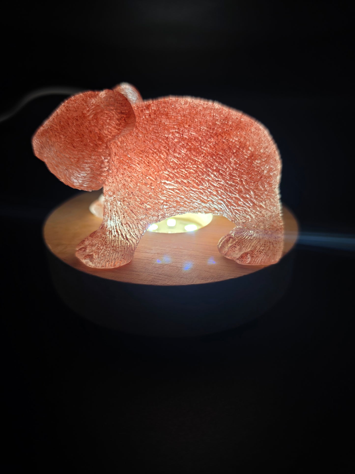 🐾 Resin Wombats – Single or Night-Light Combo 🐾