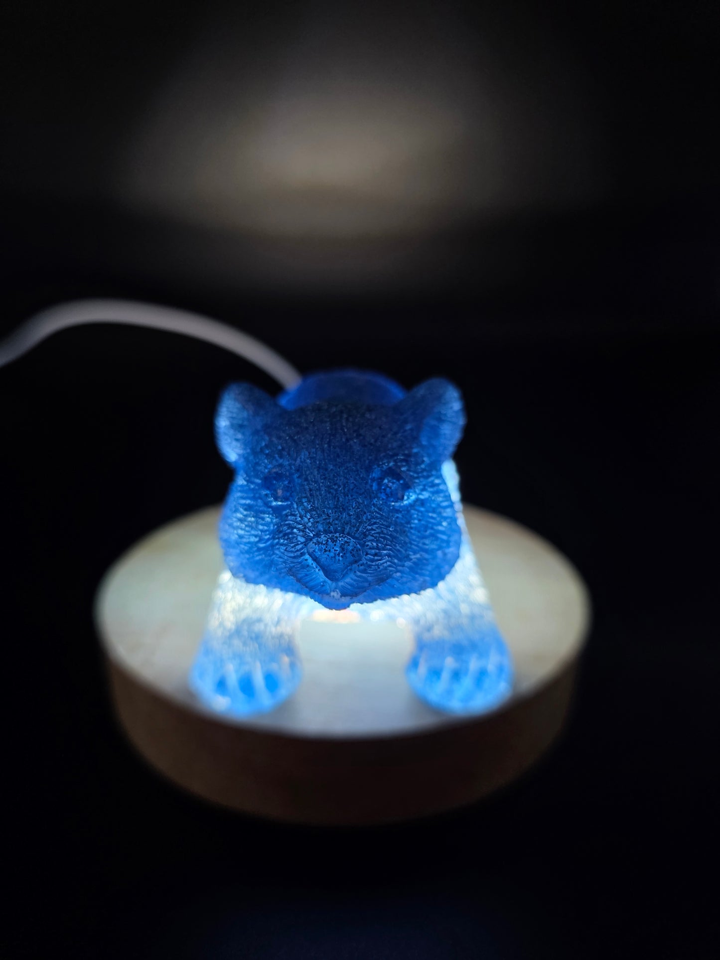 🐾 Resin Wombats – Single or Night-Light Combo 🐾