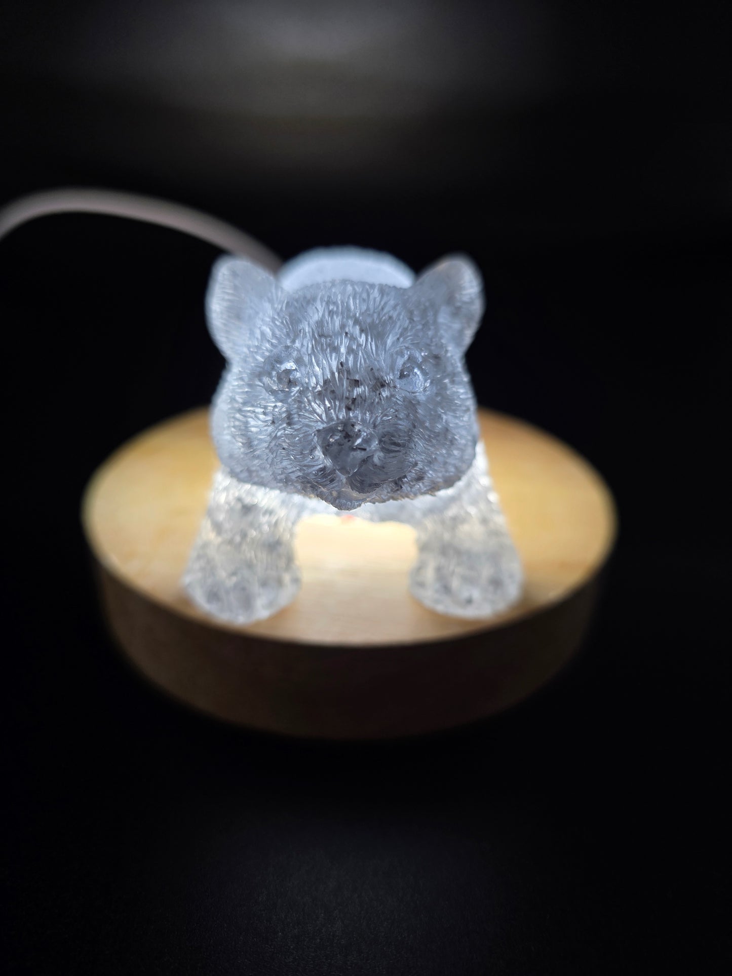 🐾 Resin Wombats – Single or Night-Light Combo 🐾