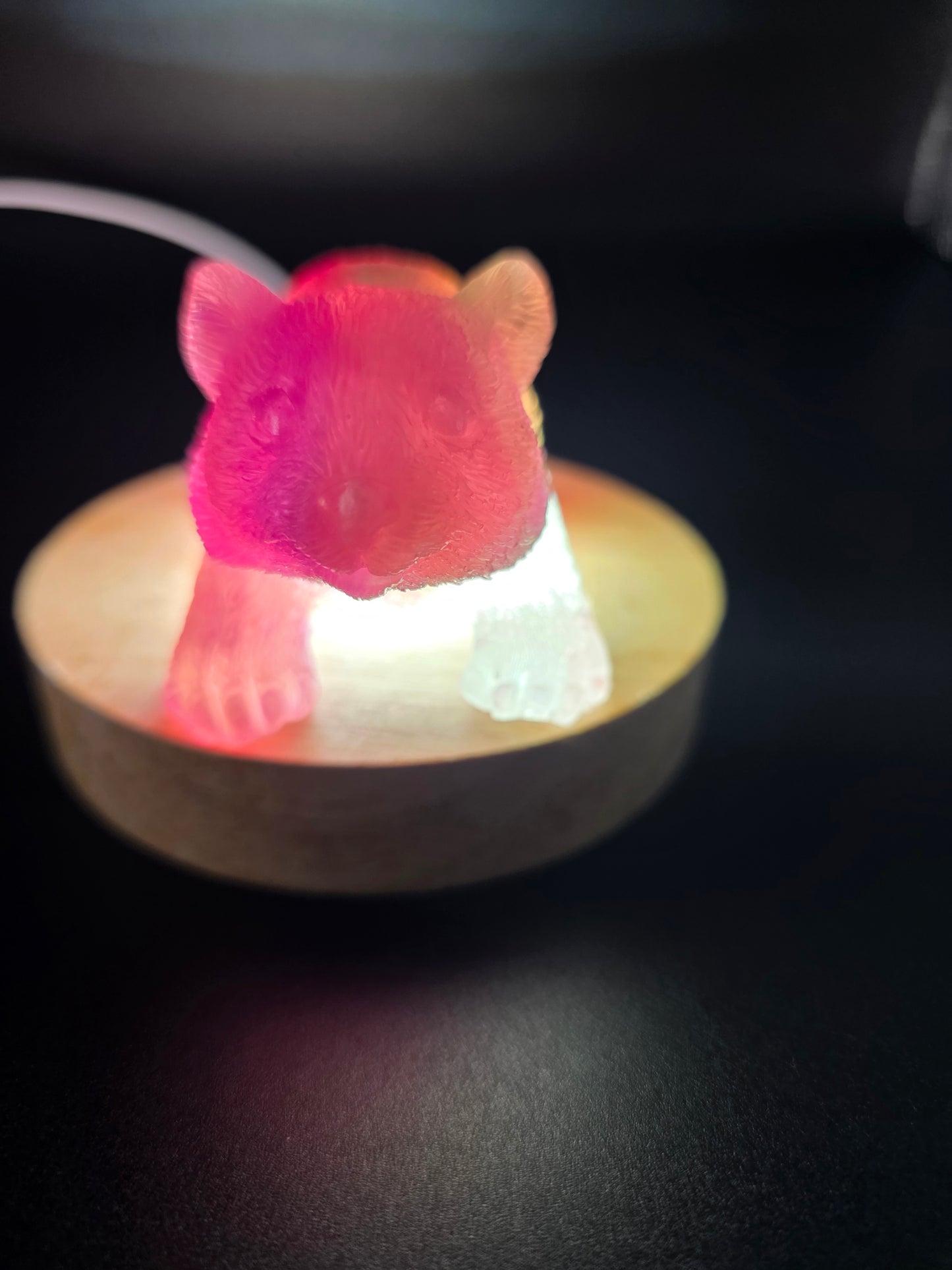 🐾 Resin Wombats – Single or Night-Light Combo 🐾