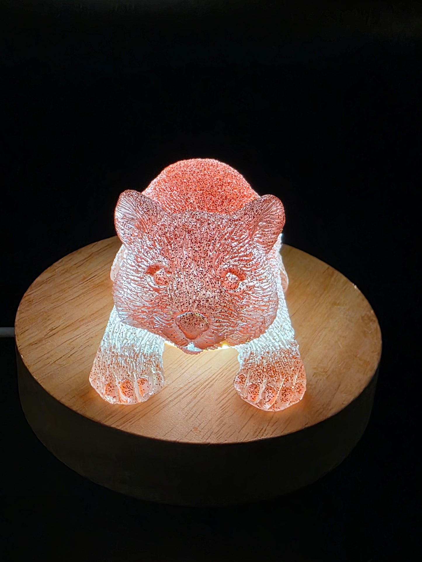 🐾 Resin Wombats – Single or Night-Light Combo 🐾