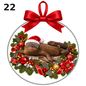 Design 22